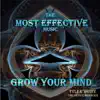 Tyler White – The Mind Enhancer - The Most Effective Music to Grow Your Mind